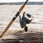 A Guide to Selecting Top Fishing Rods for Bass Fishing